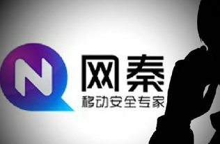 不透明的網秦，終被股民棄如敝履